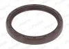 Wellendichtring, Kurbelwelle stirnseitig PAYEN NF776