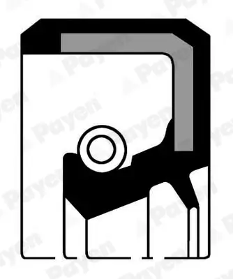 Wellendichtring, Differential PAYEN NF791