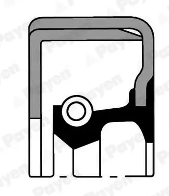 Wellendichtring, Radnabe gelenkte Vorlaufachse PAYEN NJ062 Bild Wellendichtring, Radnabe gelenkte Vorlaufachse PAYEN NJ062