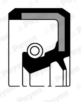 Wellendichtring, Radnabe Hinterachse PAYEN NJ088 Bild Wellendichtring, Radnabe Hinterachse PAYEN NJ088