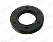 Wellendichtring, Differential PAYEN NJ441