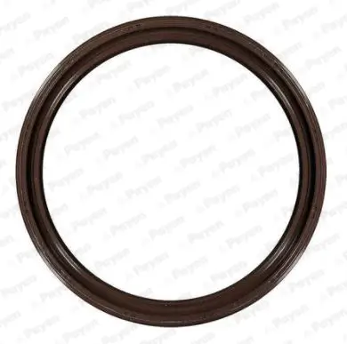 Wellendichtring, Kurbelwelle getriebeseitig PAYEN NK169 Bild Wellendichtring, Kurbelwelle getriebeseitig PAYEN NK169