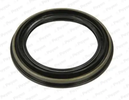 Wellendichtring, Radnabe Vorderachse PAYEN NK212