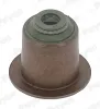 Dichtring, Ventilschaft PAYEN PA6095