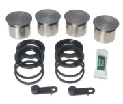 Reparatursatz, Bremssattel Hinterachse BUDWEG CALIPER 209070