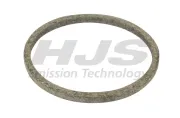 Dichtring, Abgasrohr vor Katalysator HJS 83 12 2061