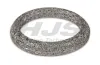 Dichtring, Abgasrohr Eingang Eingang HJS 83 22 6965