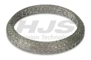 Dichtring, Abgasrohr Eingang HJS 83 23 6691