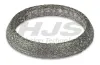 Dichtring, Abgasrohr HJS 83 42 4184