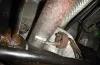 Halter, Schalldämpfer hinten HJS 82 15 4367 Bild Halter, Schalldämpfer hinten HJS 82 15 4367