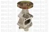 Wasserpumpe, Motorkühlung METELLI 24-0088 Bild Wasserpumpe, Motorkühlung METELLI 24-0088
