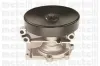 Wasserpumpe, Motorkühlung METELLI 24-0636 Bild Wasserpumpe, Motorkühlung METELLI 24-0636