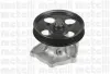 Wasserpumpe, Motorkühlung METELLI 24-0718 Bild Wasserpumpe, Motorkühlung METELLI 24-0718