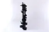 Kühler, Motorkühlung NISSENS 63568 Bild Kühler, Motorkühlung NISSENS 63568