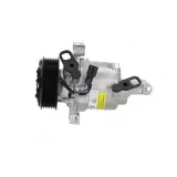Kompressor, Klimaanlage 12 V NISSENS 891074
