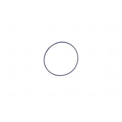 Drosselklappenstutzen 12 V NISSENS 955040 Bild Drosselklappenstutzen 12 V NISSENS 955040