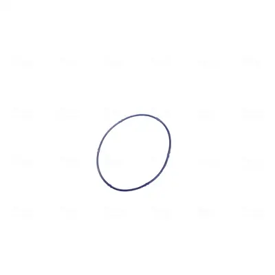 Drosselklappenstutzen 12 V NISSENS 955043 Bild Drosselklappenstutzen 12 V NISSENS 955043