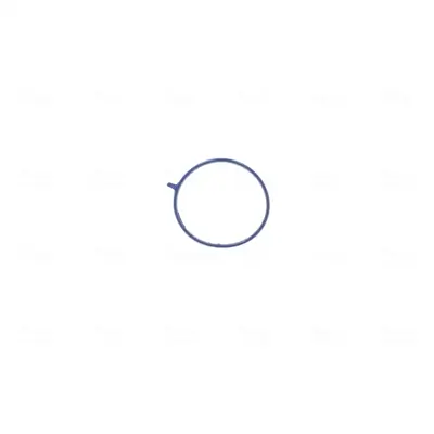 Drosselklappenstutzen 12 V NISSENS 955059 Bild Drosselklappenstutzen 12 V NISSENS 955059