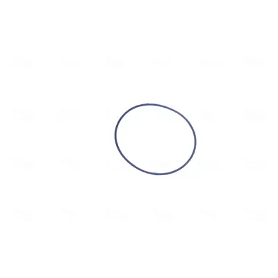 Drosselklappenstutzen 12 V NISSENS 955115 Bild Drosselklappenstutzen 12 V NISSENS 955115