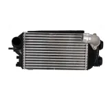 Ladeluftkühler NISSENS 961420