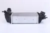 Ladeluftkühler NISSENS 961433 Bild Ladeluftkühler NISSENS 961433