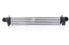 Ladeluftkühler NISSENS 961481 Bild Ladeluftkühler NISSENS 961481