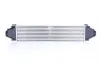 Ladeluftkühler NISSENS 961501 Bild Ladeluftkühler NISSENS 961501