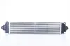 Ladeluftkühler NISSENS 961505 Bild Ladeluftkühler NISSENS 961505