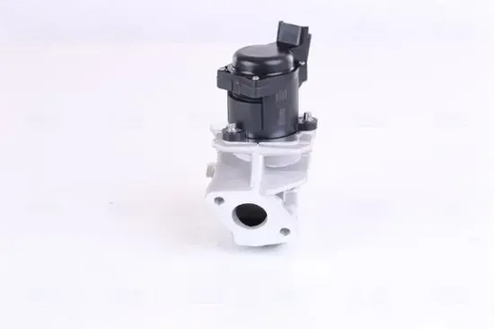 AGR-Ventil NISSENS 98188 Bild AGR-Ventil NISSENS 98188