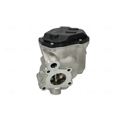 AGR-Ventil NISSENS 98243 Bild AGR-Ventil NISSENS 98243