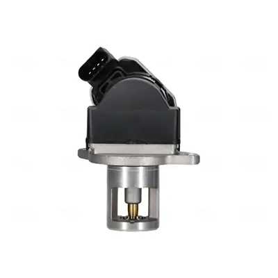 AGR-Ventil NISSENS 98438 Bild AGR-Ventil NISSENS 98438