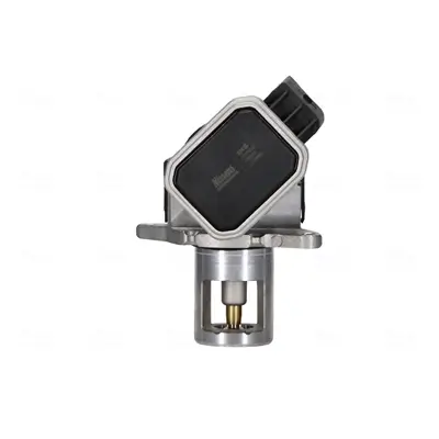 AGR-Ventil NISSENS 98438 Bild AGR-Ventil NISSENS 98438