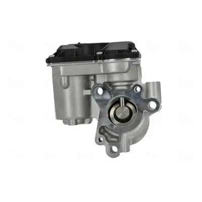 AGR-Ventil NISSENS 98550 Bild AGR-Ventil NISSENS 98550