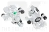 Bremssattel Hinterachse rechts vor der Achse NK 2132114