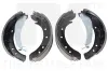 Bremsbackensatz Hinterachse NK 2799576
