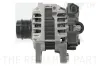 Generator 14 V NK 4836031