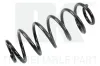 Fahrwerksfeder Hinterachse NK 5319112