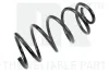 Fahrwerksfeder Hinterachse NK 532243