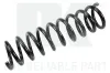 Fahrwerksfeder Hinterachse NK 5325120