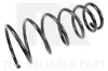 Fahrwerksfeder Hinterachse NK 5325125