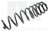 Fahrwerksfeder Hinterachse NK 5325129