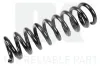 Fahrwerksfeder Hinterachse NK 5333109