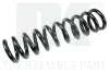 Fahrwerksfeder Hinterachse NK 5333110