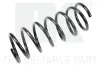 Fahrwerksfeder Hinterachse NK 533434
