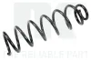 Fahrwerksfeder Hinterachse NK 533986