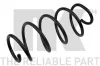 Fahrwerksfeder Vorderachse links Vorderachse rechts NK 534316