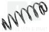 Fahrwerksfeder Hinterachse NK 5347274