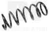 Fahrwerksfeder Hinterachse NK 539908
