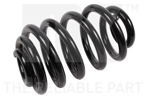 Fahrwerksfeder Hinterachse NK 541553