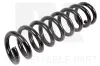 Fahrwerksfeder Hinterachse NK 541556